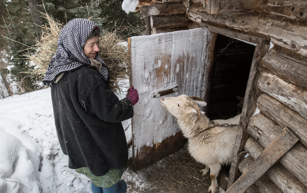 Домик в тайге Хакасии