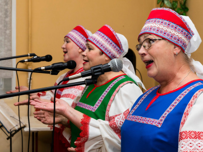 Артисты из Карелии выступили в Днепрорудном