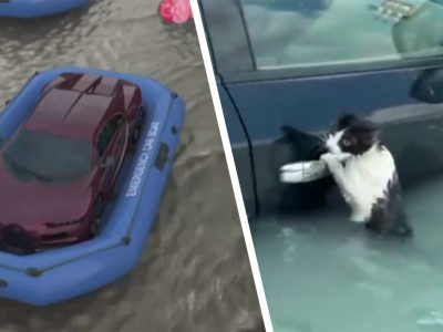 По улицам плывут «гелики» и коты: что происходит в затопленном Дубае