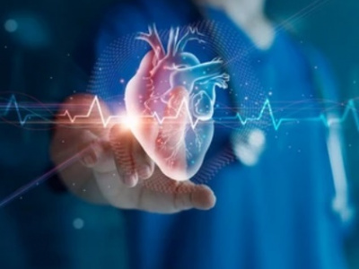 Здоровье сердца и сосудов в ваших руках: полезная информация